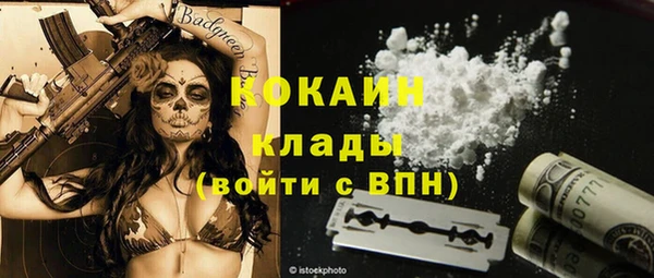 молекула духа Ростов