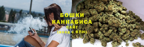 стафф Россошь