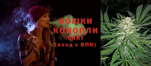 стафф Россошь